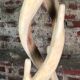 Brutalist coat rack carved in Suar WOOD HT 193 cm