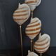 Cabinet of Curiosities globe shells tonna sulcosa