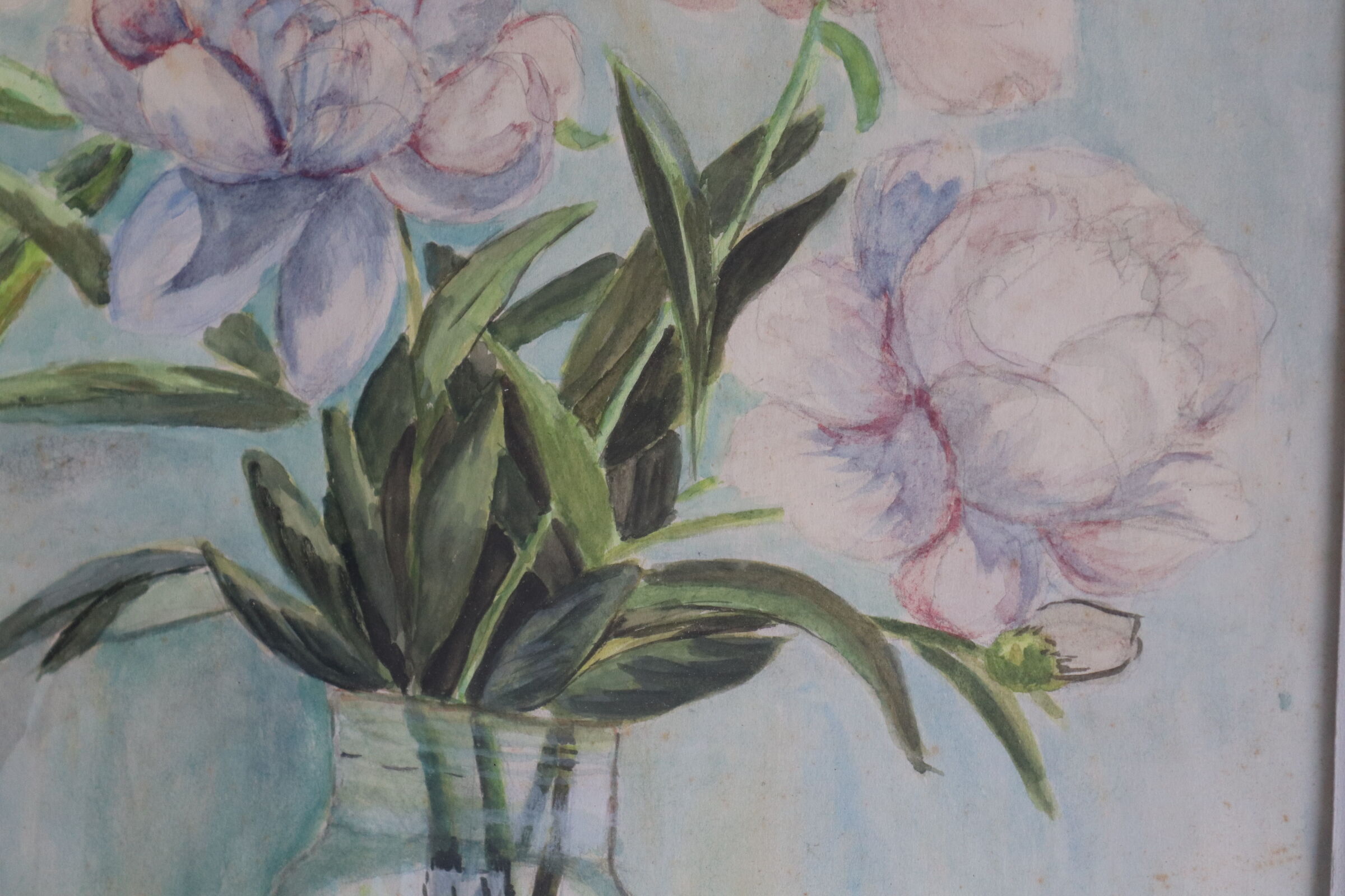 Nature morte aquarelle bouquet de pivoines