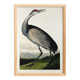 Poster about the American Crane, based on an old engraving from 1827.