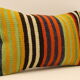Throw Pillow, Cushion Cover 30x50 cm