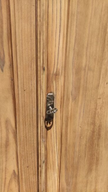 Parisian wardrobe in natural wood