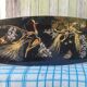 Table basse vintage de salon