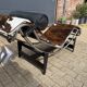 Cassina LC4 Le Corbusier original (signed) in cowhide, in new condition.