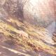Paysage de Marotta, huile sur toile, fin du XXe siècle