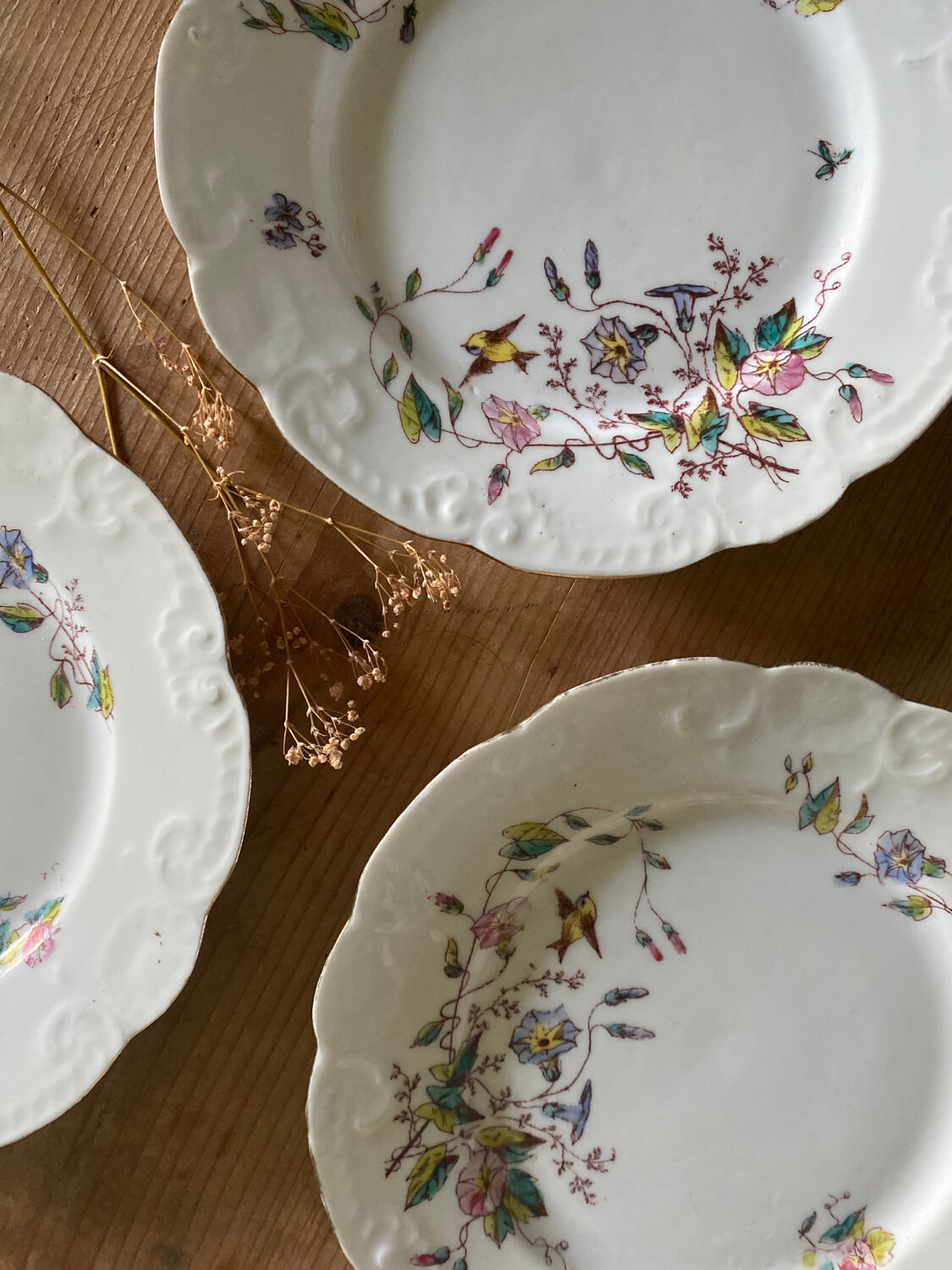 Ensemble de 4 assiettes vintages mésanges et liseron