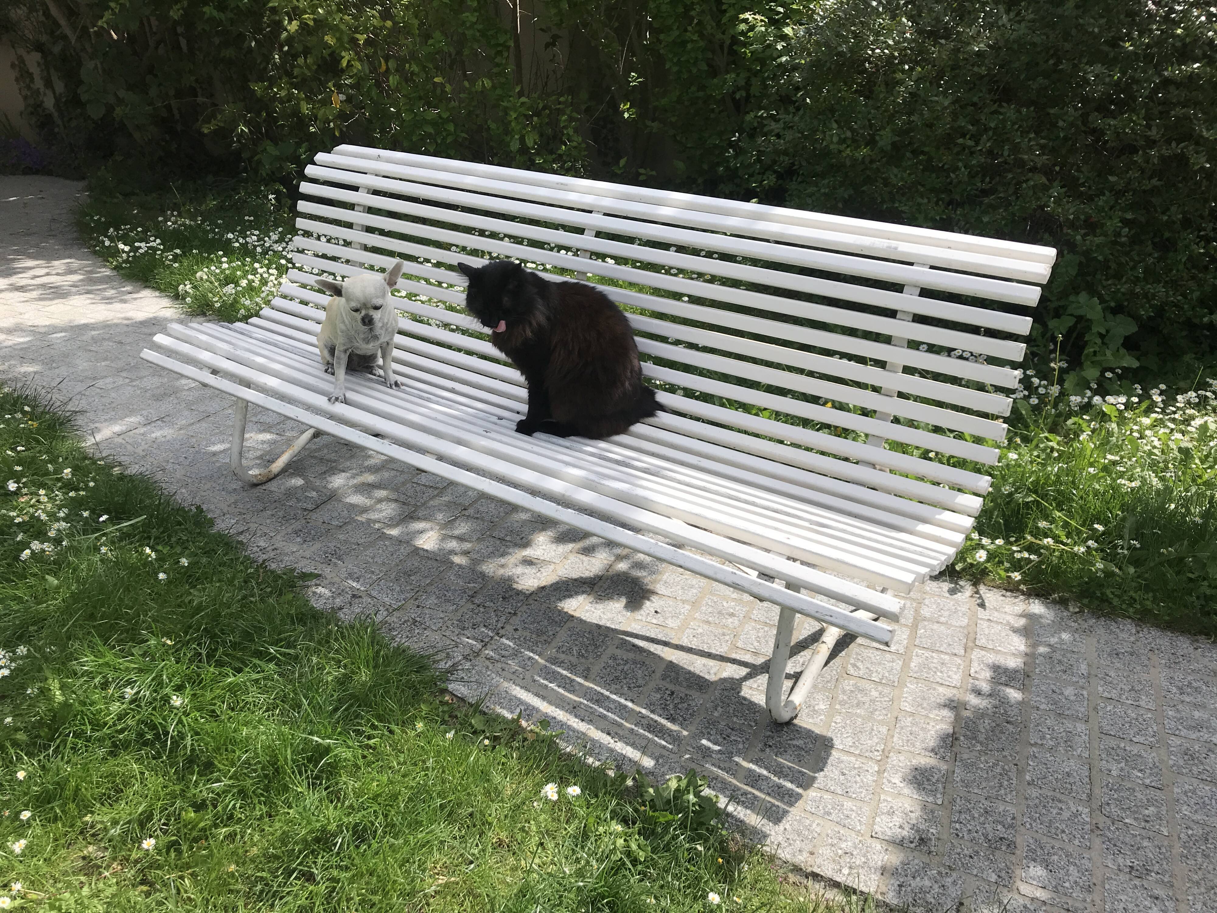 White metal Garden Bench and wooden slats 1970