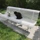 White metal Garden Bench and wooden slats 1970