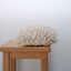 Corail