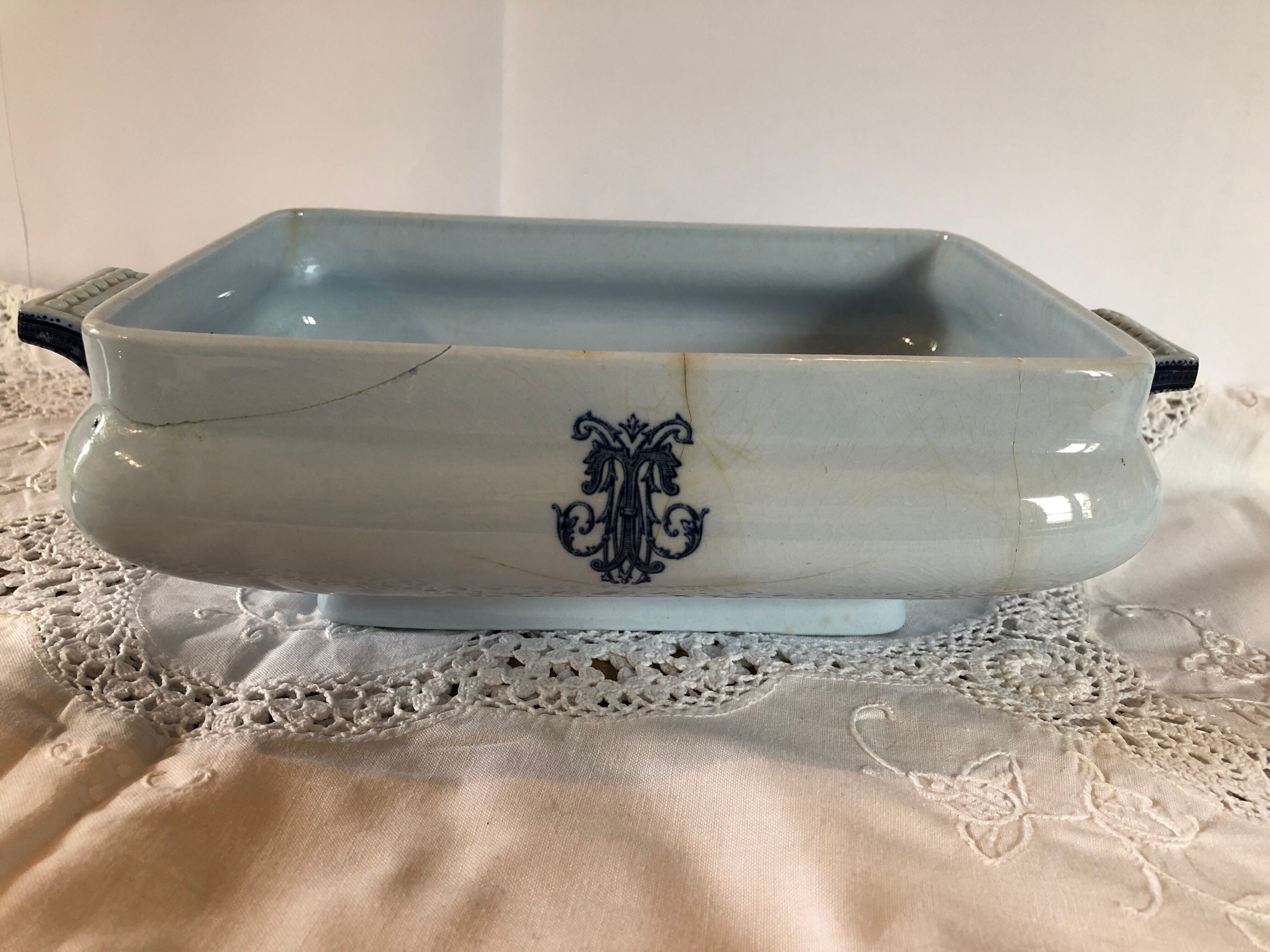 Blue vegetable in iron Earth