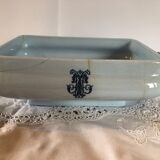 Blue vegetable in iron Earth