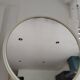 Round fiberglass mirror from the 70s