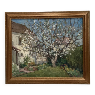Painting signed Oil on canvas dimension: height: 45 cm - width -54 cm -