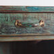 Armoire bibliothèque ouverte en bois vintage