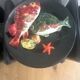 Assiette Quinson