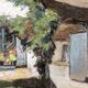 Pastel, farmyard, signed Jean Vasseur (1905-1986)