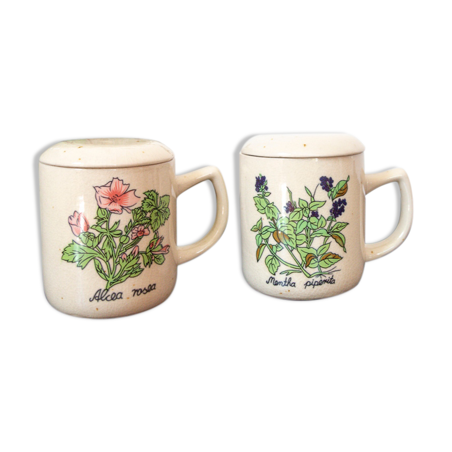 2 tea cups in enamelled speckled sandstone flower décor