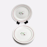 Lot de 6 assiettes Salins, modèle "Printemps"