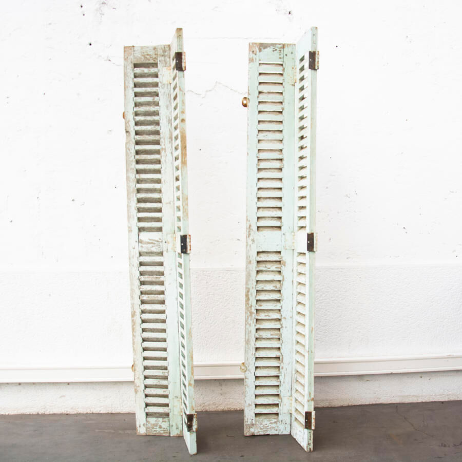 Pair of shutters louvered
