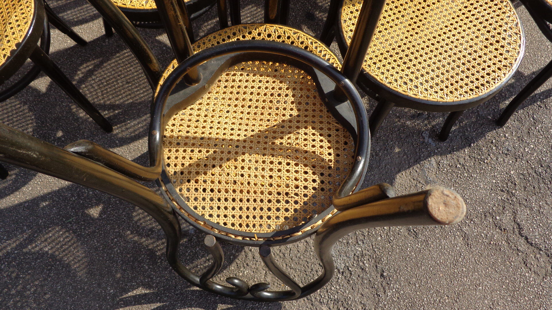 Set of 20 curved wooden chairs