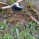 Pair of vintage folding deckchairs