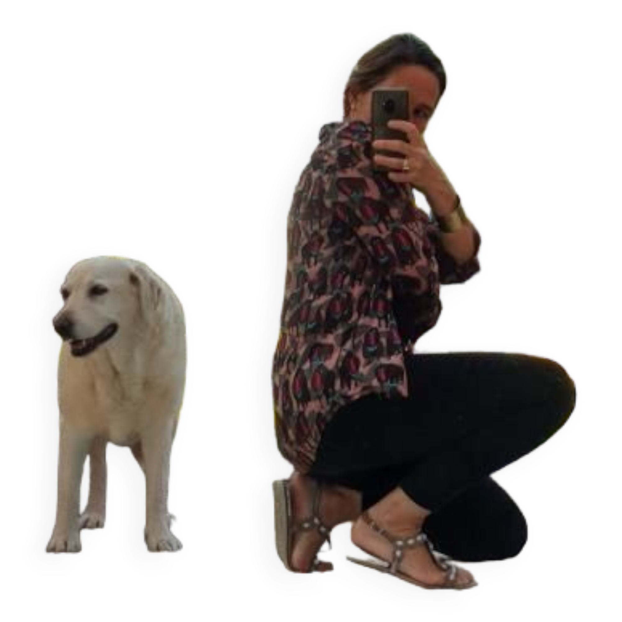 Beveled Ice Pine Door Mirror 64X120