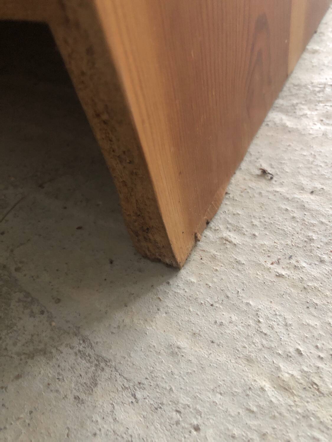 Honey-colored pine bookcase, 90s