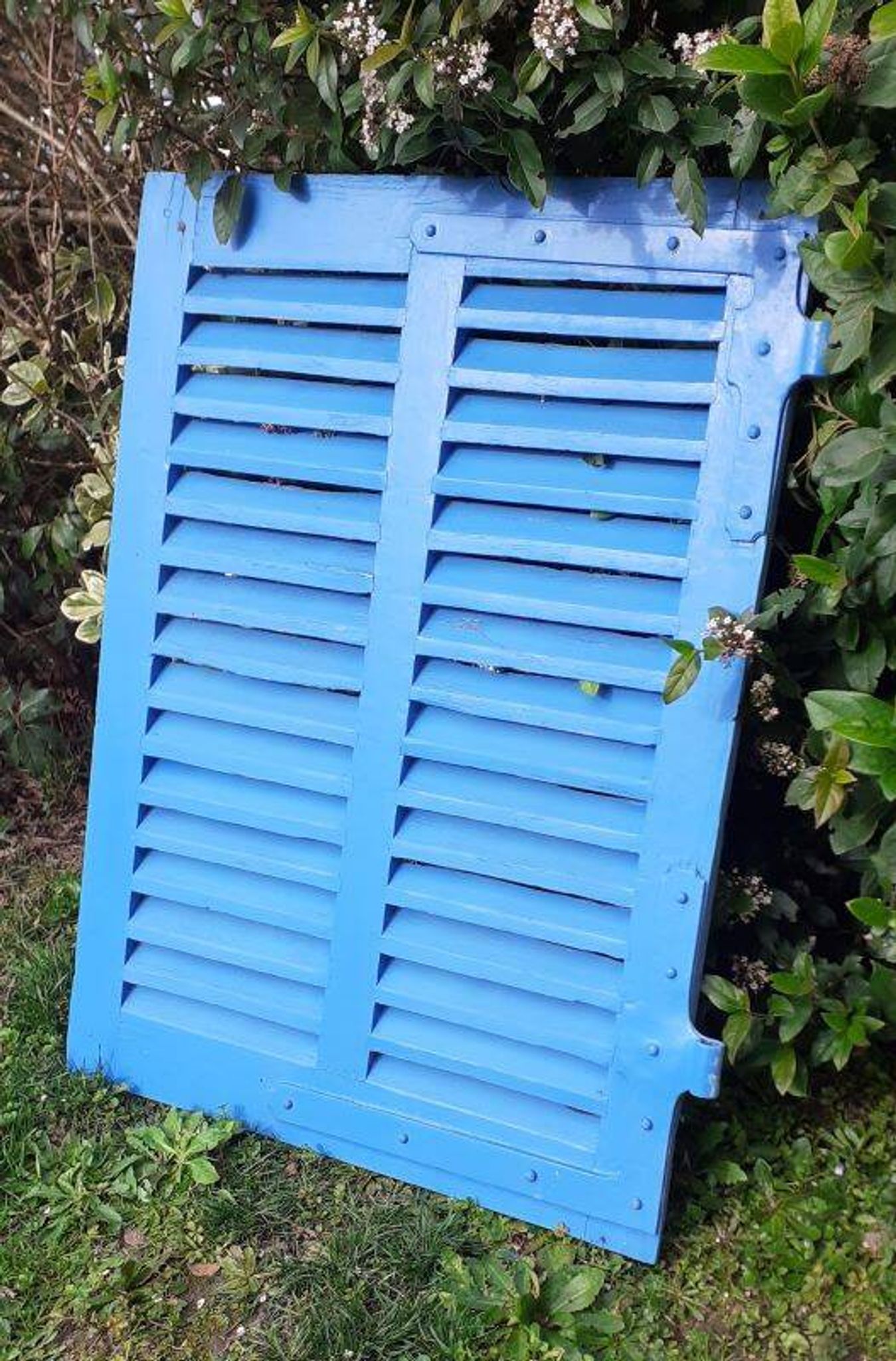 Petit volet  L75xH101cm bleu à persiennes