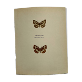 Antique Butterfly Lithograph Naturalist Vintage Engraving Plate