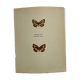 Old Engraving Butterfly Lithograph Naturalist Vintage Plate