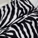 6 zebra folding chairs