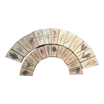 Roger Capron herbarium tiles