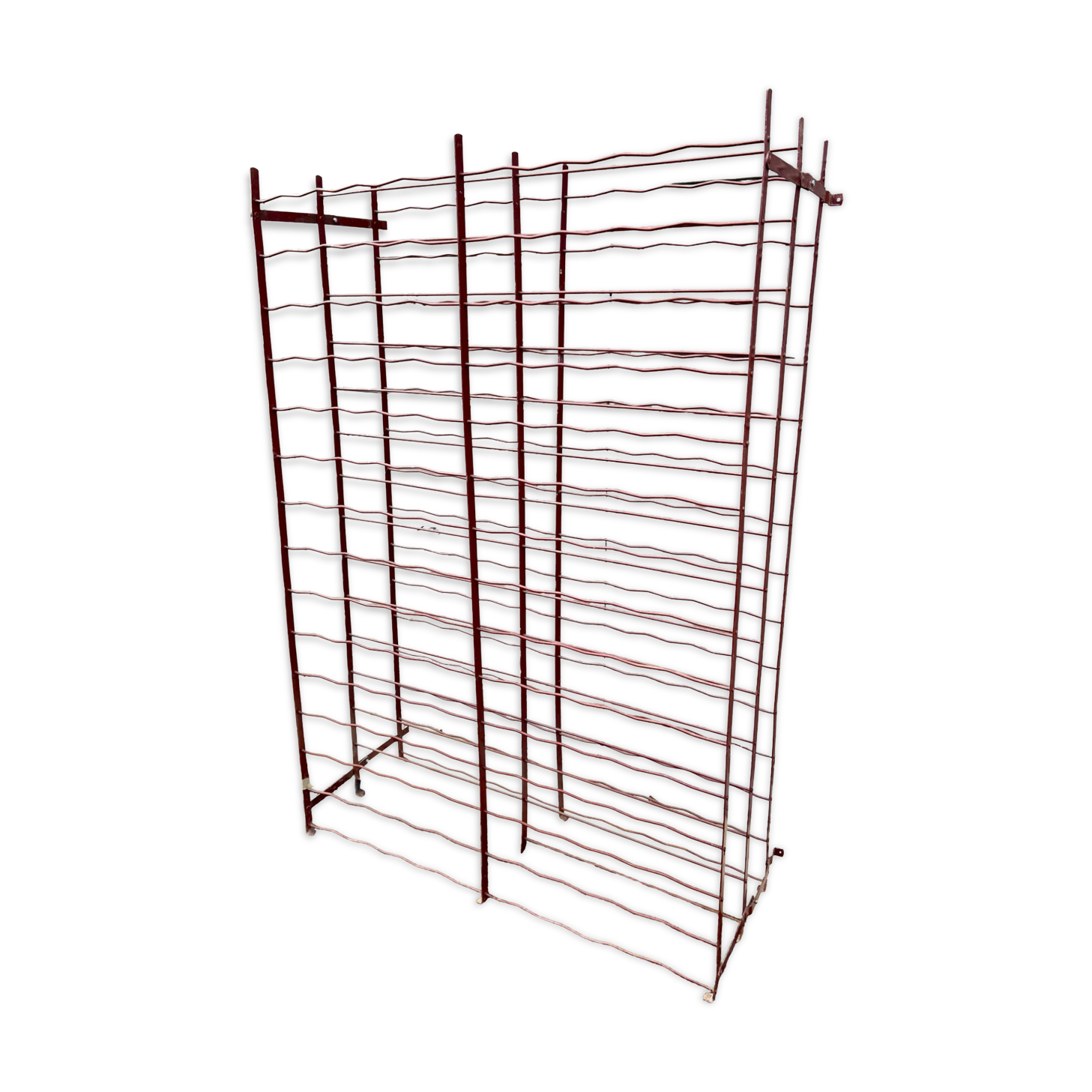 Wine cellar shelf bottles cellar 300 bottles