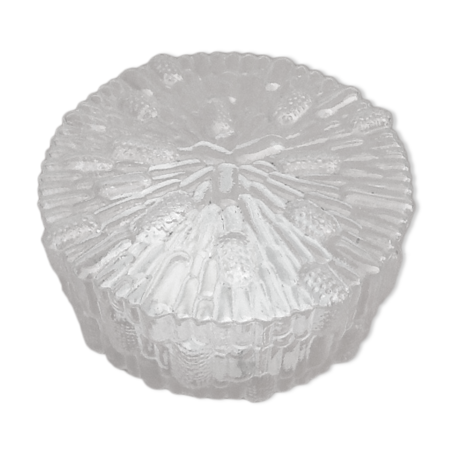 Wall light, transparent glass ceiling light, Concept Design, minimalist style