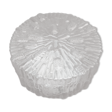 Wall light, transparent glass ceiling light, Concept Design, minimalist style