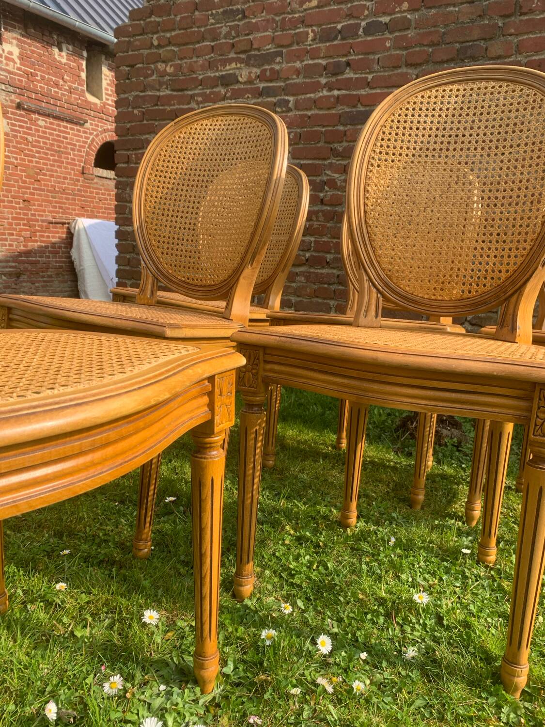 Set of 6 Louis XVI style cane medallion chairs