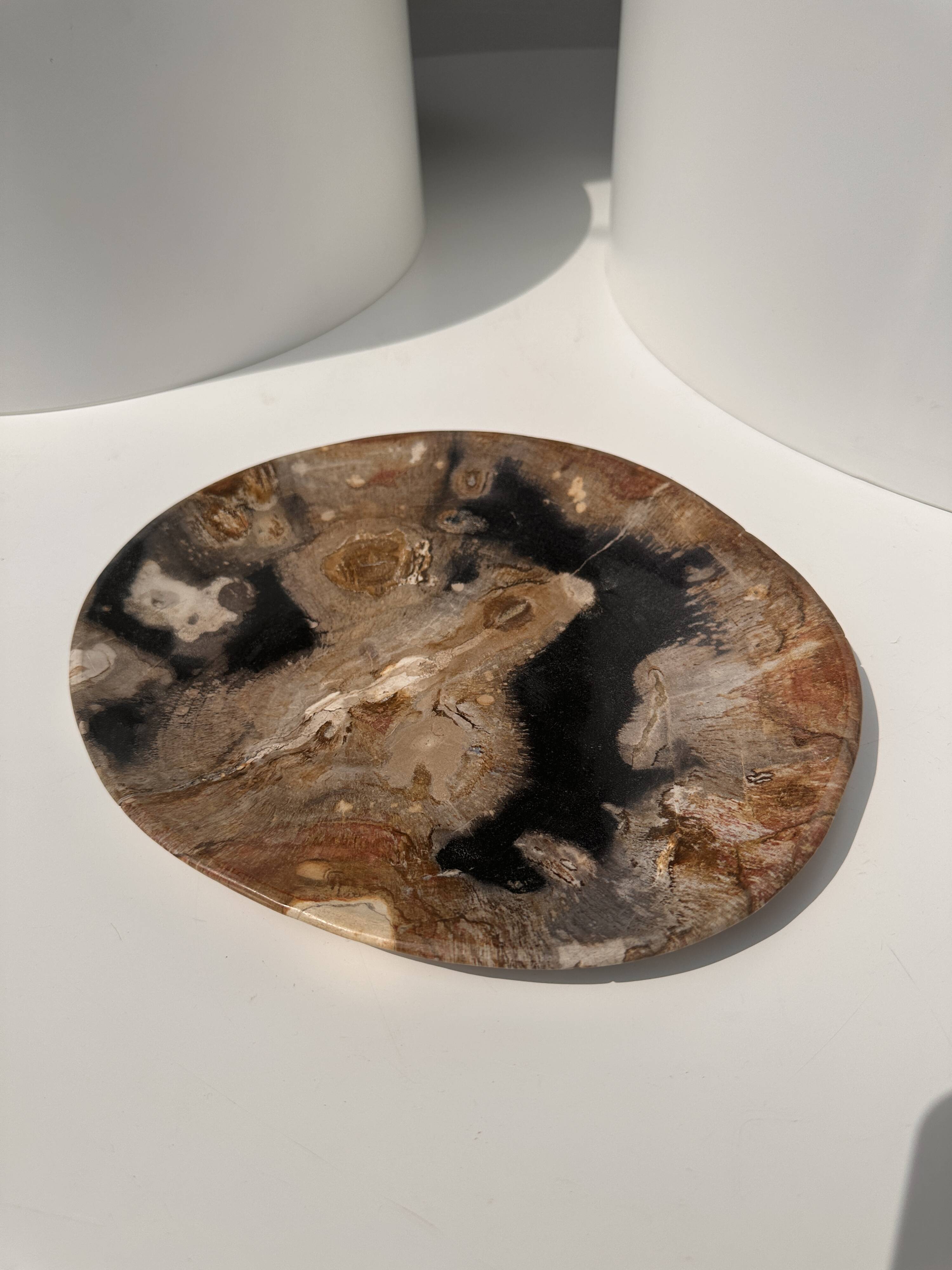 Large empty pocket or dish in petrified wood