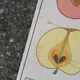 Rossignol educational poster: "Arrangement of leaves and fruits".