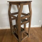 Nineteenth bookcase ladder