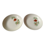2 Villeroy and Boch deep plates Pin decor