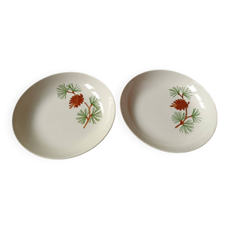 2 assiettes creuses Villeroy et Boch decor Pin