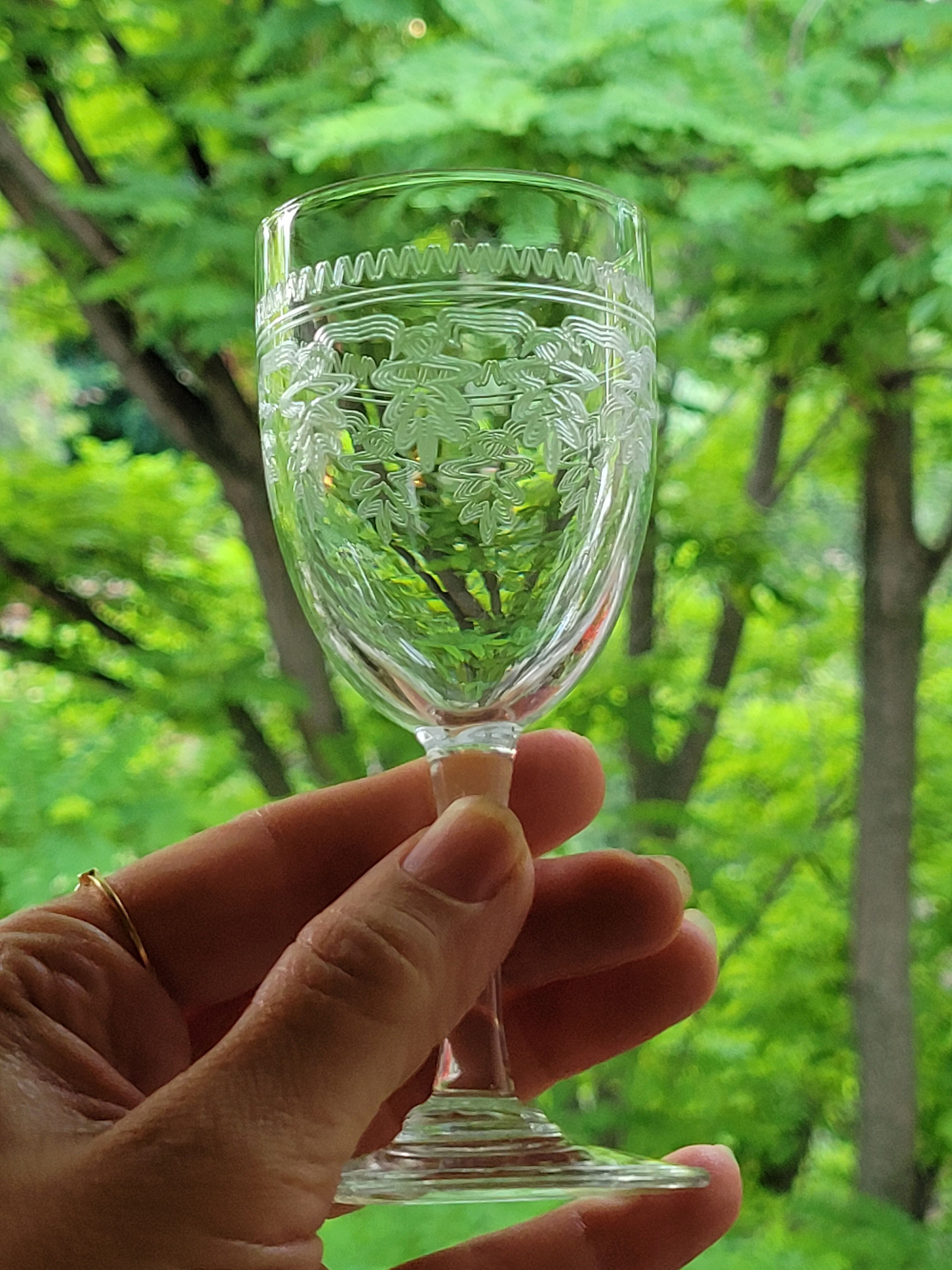 6 old Port stemmed glasses in engraved baccarat crystal