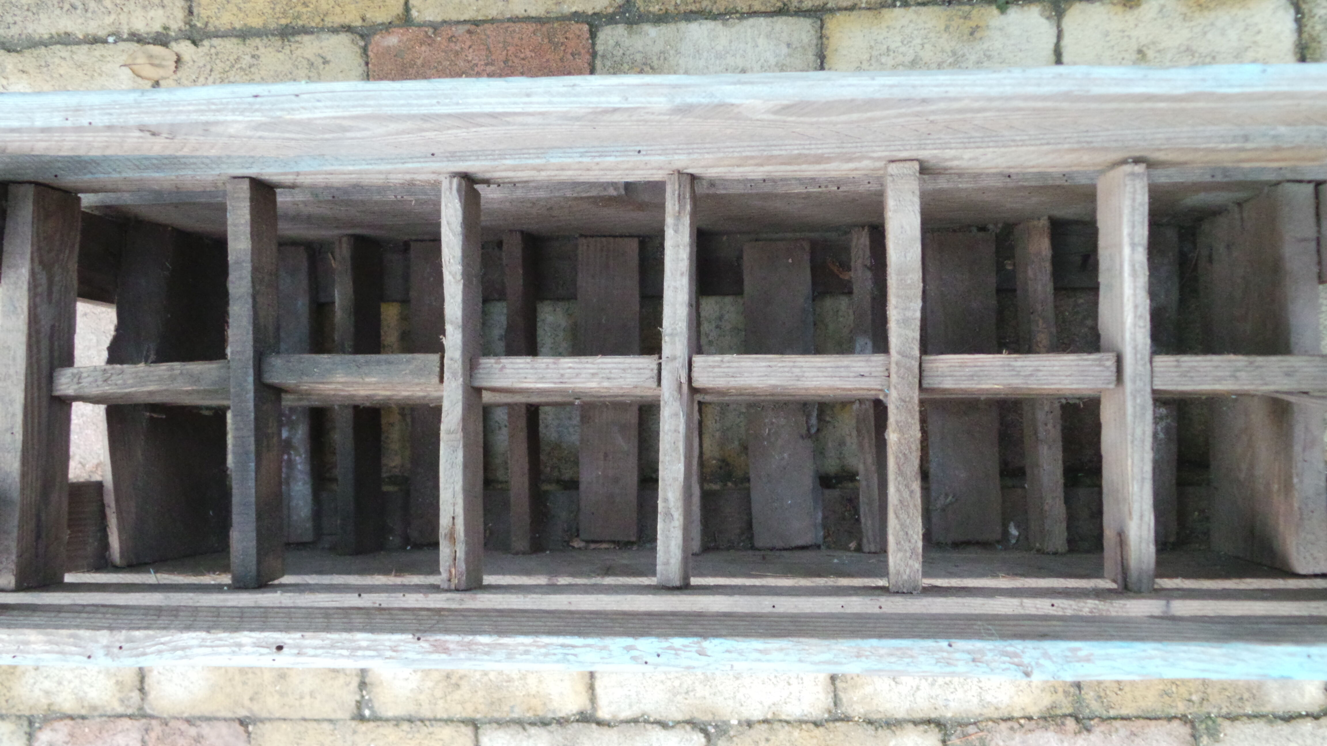 Old bottles wooden door