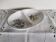 Royal Worchester Herbs English Porcelain Dish