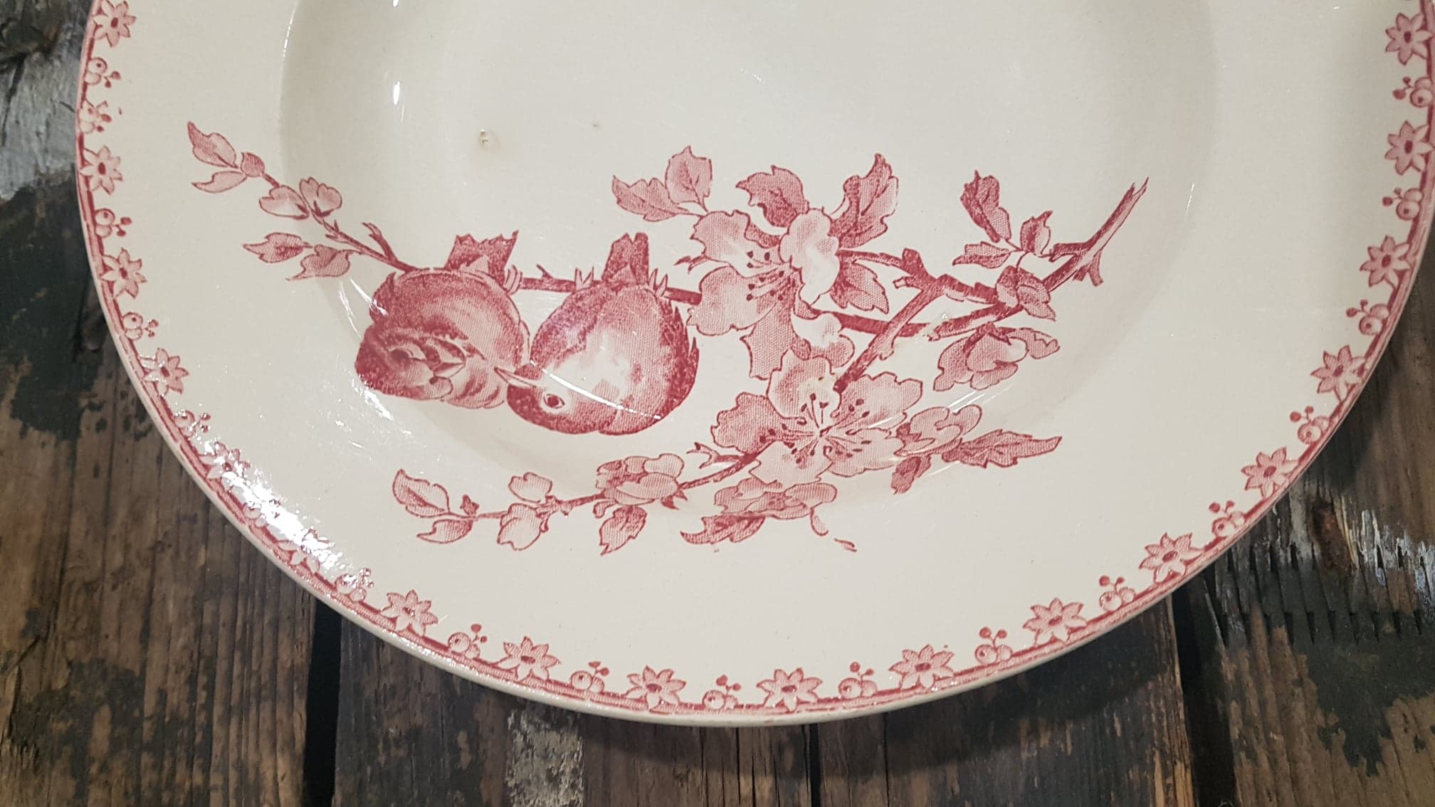 Plate Sarreguemines model Favorite