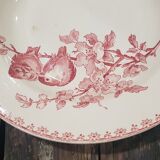 Plate Sarreguemines model Favorite