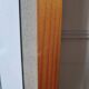 Rochea falcata botanical board