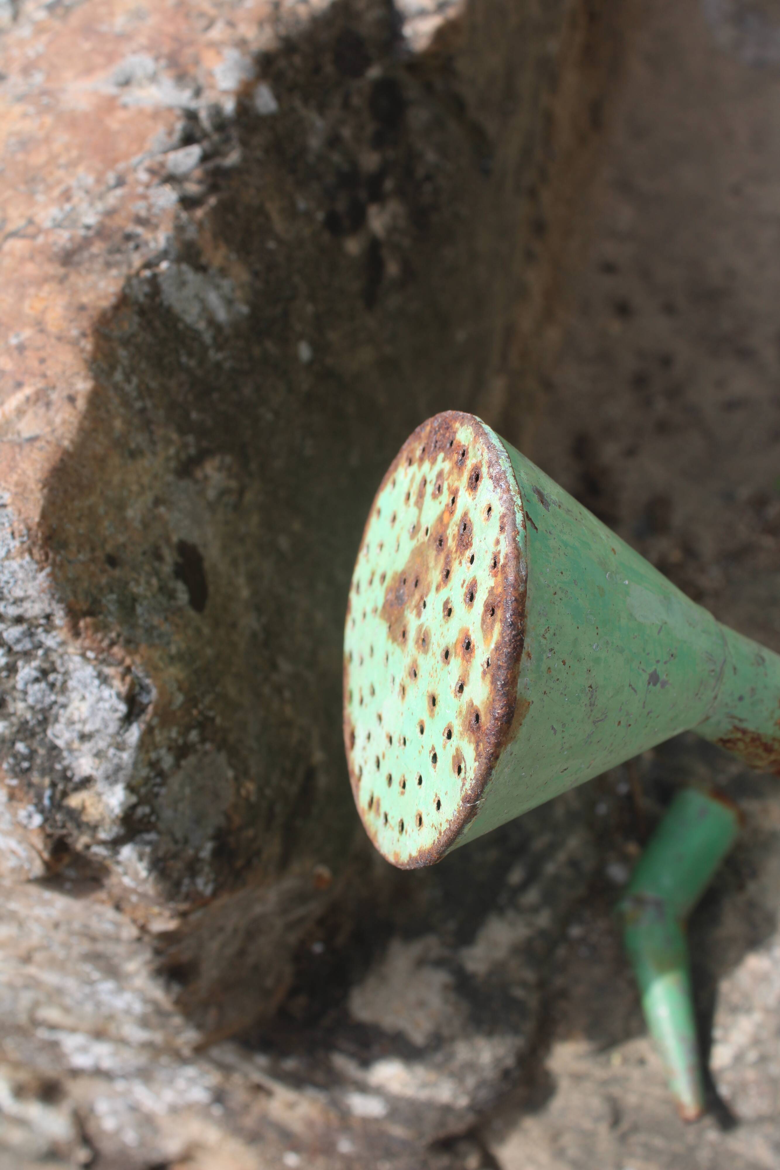 Zinc green watering can