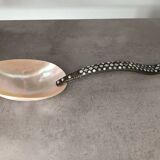 Shell spoons Indonesia nineteenth