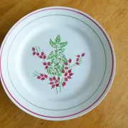 1 assiette plate rouge et verte 221238